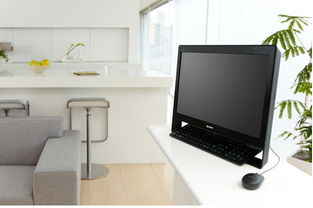 索尼 VAIO J115EC/Bi 啞光黑一體電腦 簡約設計下的高效計算體驗